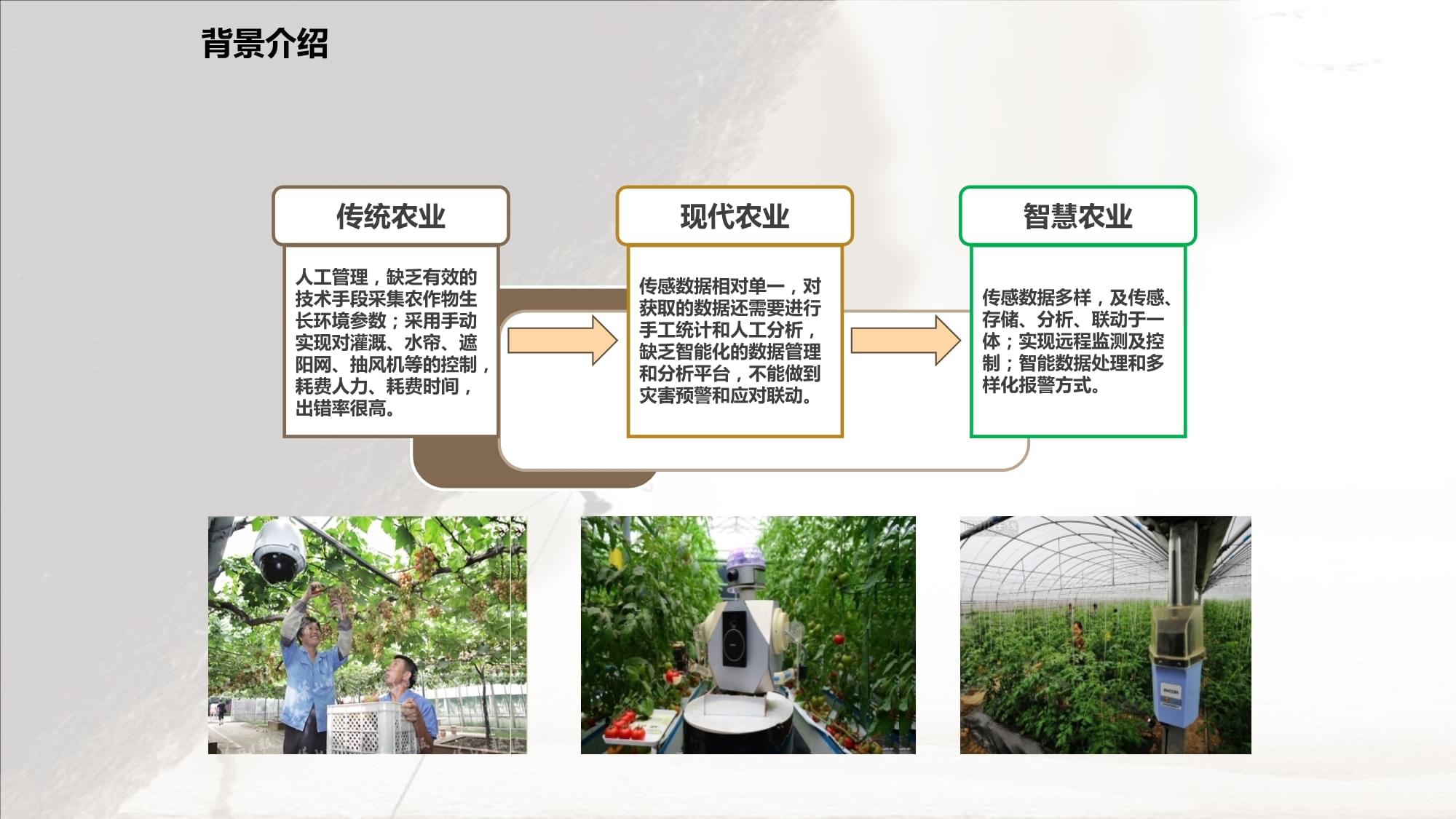 智慧農業物聯網項目建設解決方案——智能農業管理