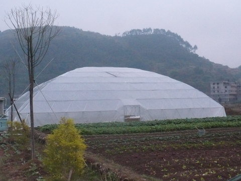 麗水市農業智能化快繁中心 氣霧栽培與植物克隆技術引領現代農業變革